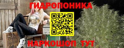 шишки Рязань