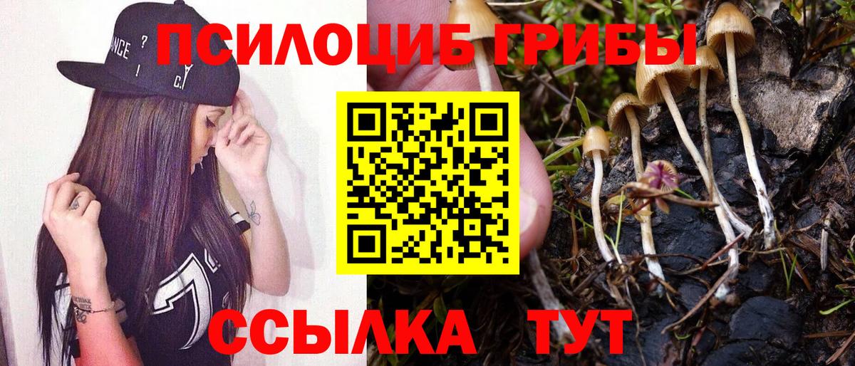 Галлюциногенные грибы GOLDEN TEACHER Асино